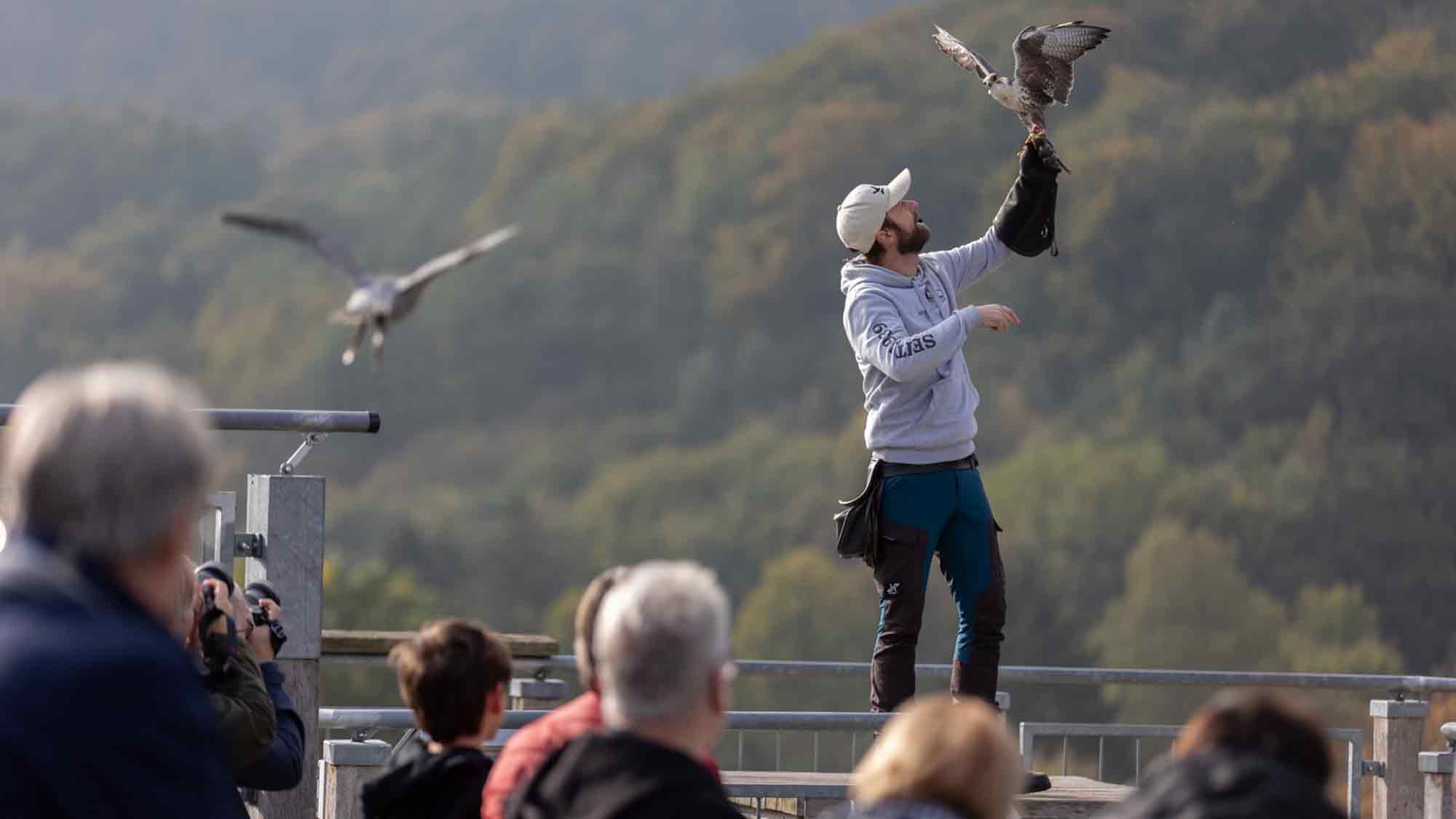 Ab 15. Februar 2025 fliegen sie wieder! Adlerwarte Berlebeck startet in die Saison 2025 – niedlicher Nachwuchs bei den Ziegen im Streichelzoo Ab 15. Februar 2025 fliegen sie wieder! Adlerwarte Berlebeck startet in die Saison 2025 – niedlicher Nachwuchs bei den Ziegen im Streichelzoo
